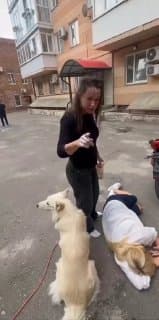 Многодетная мать получила сотрясение в драке за парковку в Воронеже