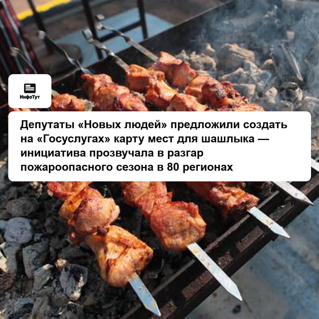 Депутаты «Новых людей» предложили создать на «Госуслугах» карту мест для шашлыка — инициатива прозвучала в разгар пожароопасного сезона в 80 регионах