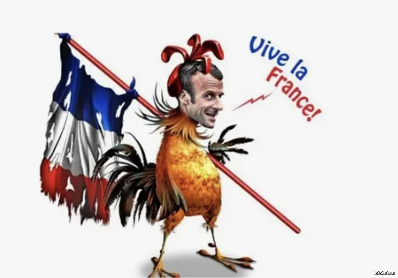 Медведев назвал президента Франции «петушком Микроном», обвинив его в безразличии к стране