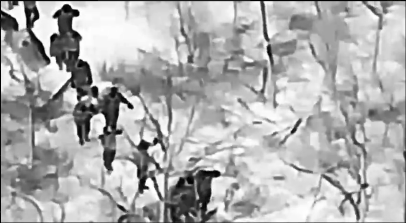 В Мирнограде в плен сдались 25 украинских военнослужащих из 38-й бригады морской пехоты