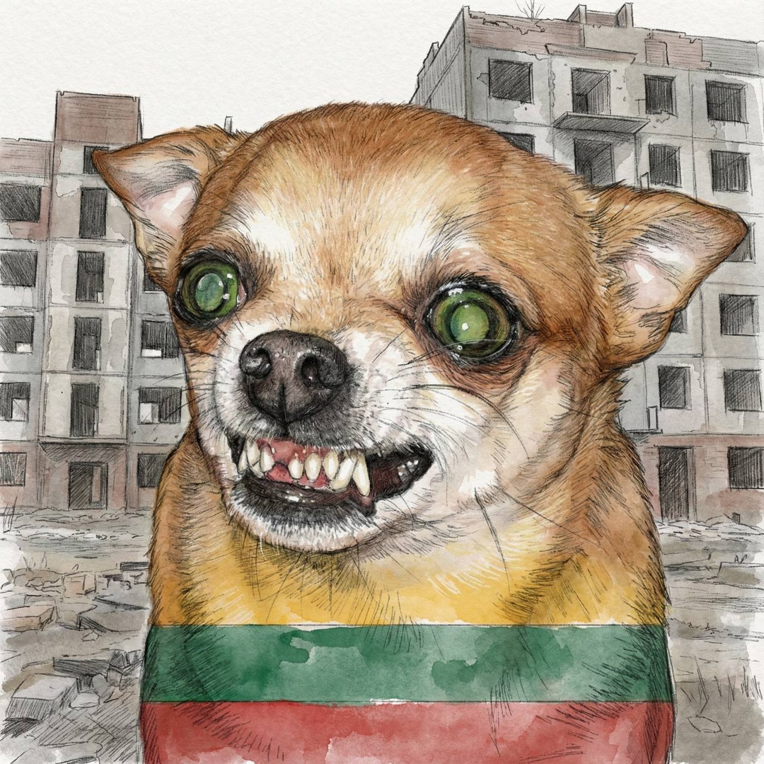 Литва ввела чрезвычайное положение из-за воздушных шаров с контрабандными сигаретами