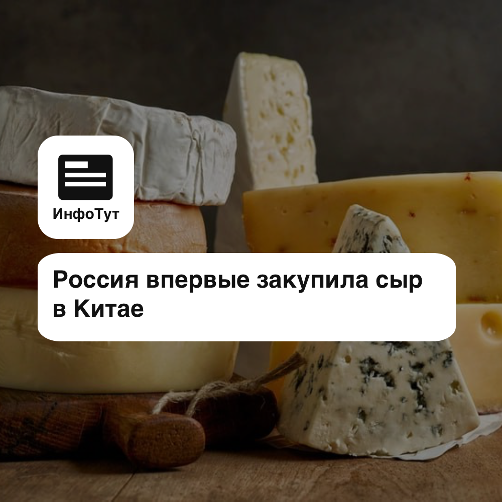 Россия впервые закупила сыр в Китае