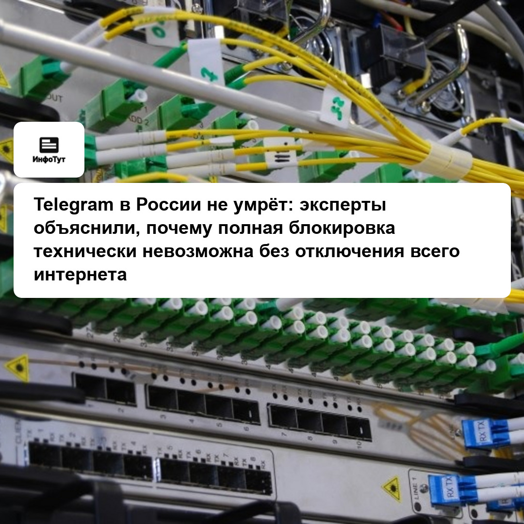 Telegram в России не умрёт: эксперты объяснили, почему полная блокировка технически невозможна без отключения всего интернета