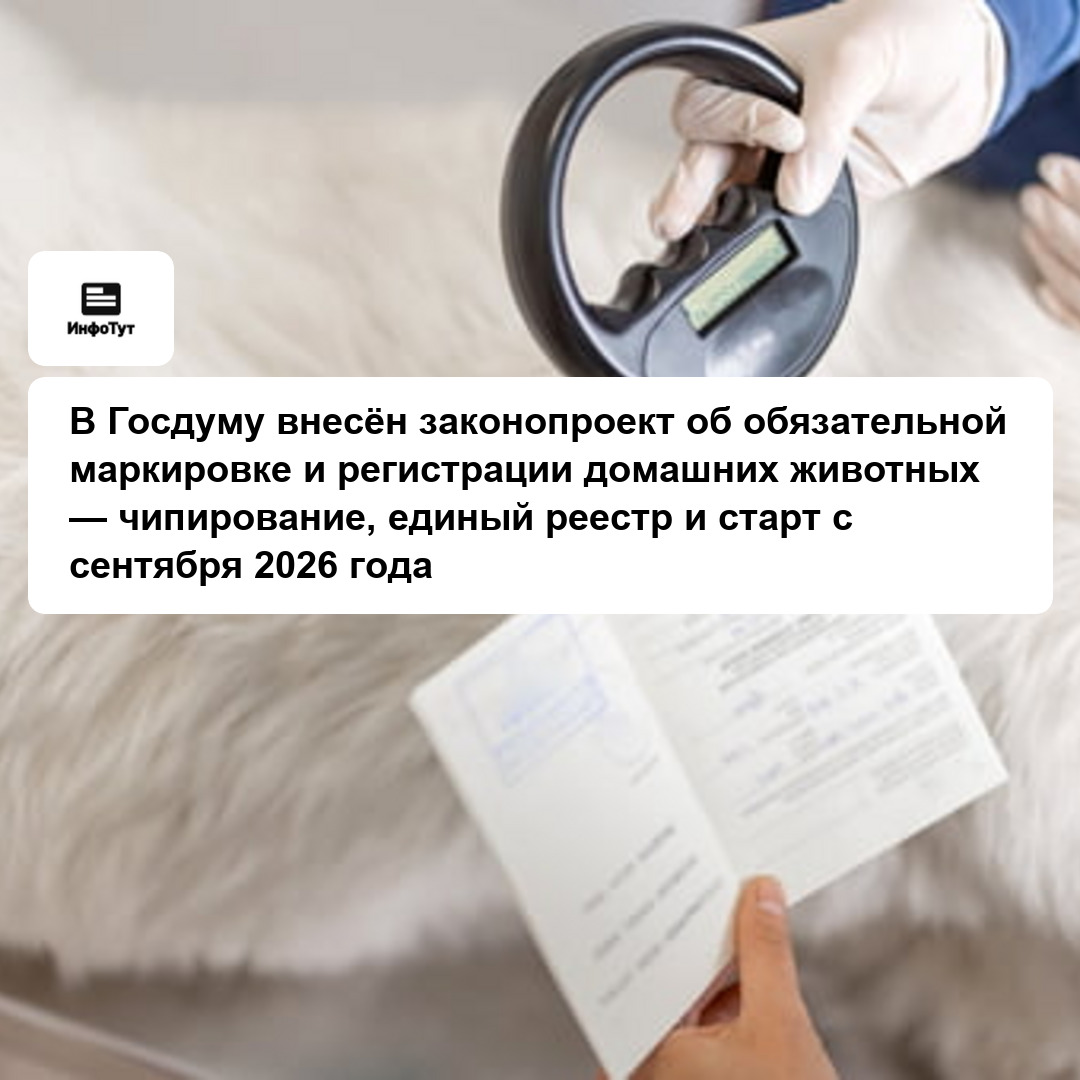 В Госдуму внесён законопроект об обязательной маркировке и регистрации домашних животных — чипирование, единый реестр и старт с сентября 2026 года
