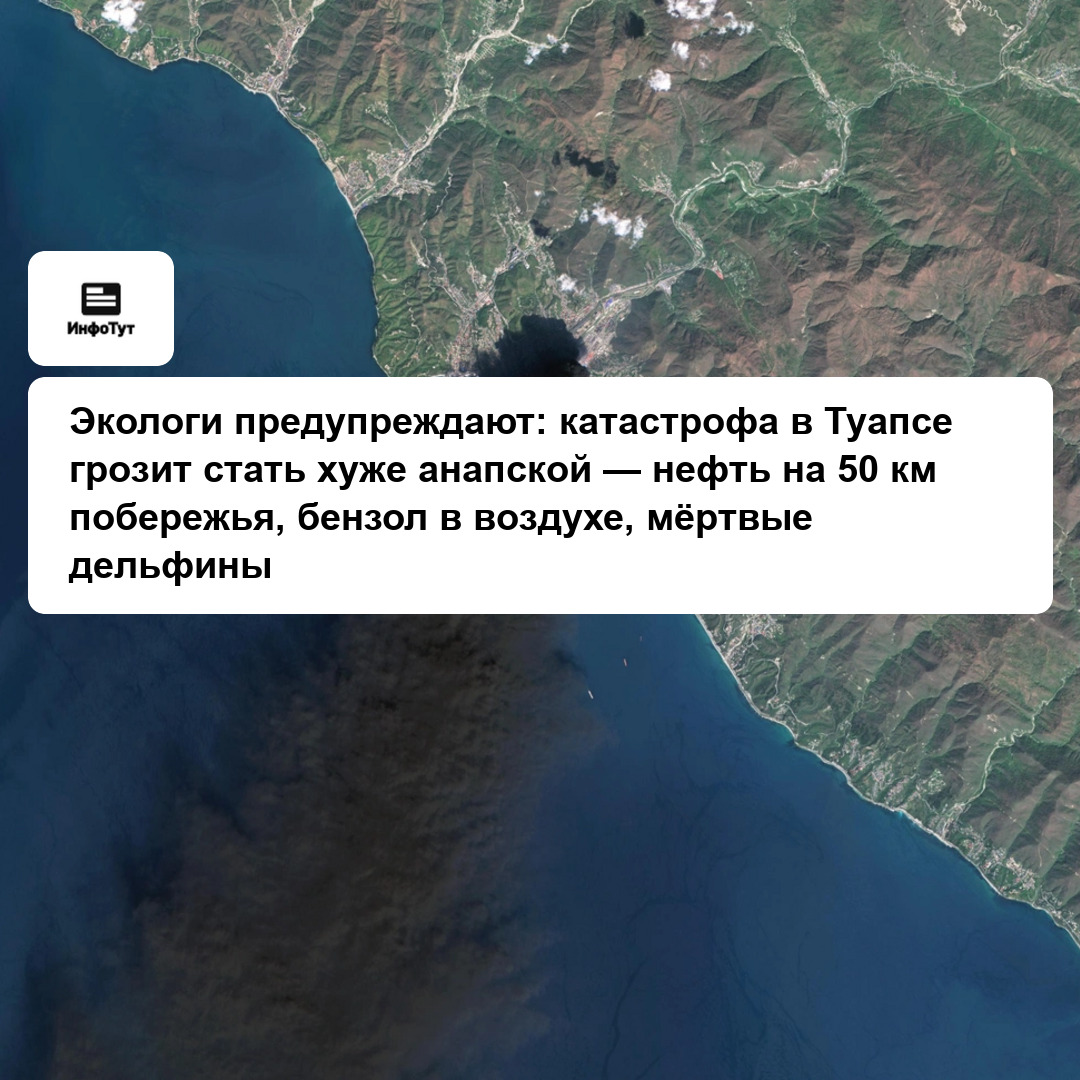 Экологи предупреждают: катастрофа в Туапсе грозит стать хуже анапской — нефть на 50 км побережья, бензол в воздухе, мёртвые дельфины