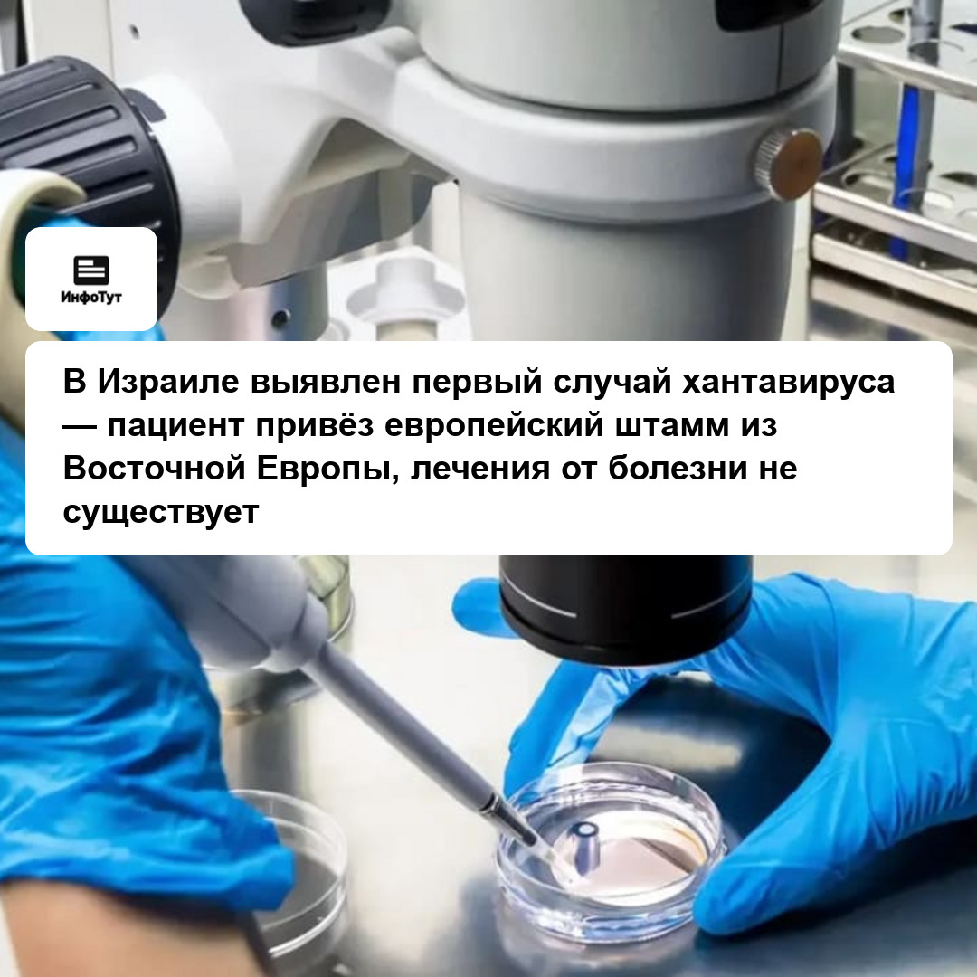 В Израиле выявлен первый случай хантавируса — пациент привёз европейский штамм из Восточной Европы, лечения от болезни не существует