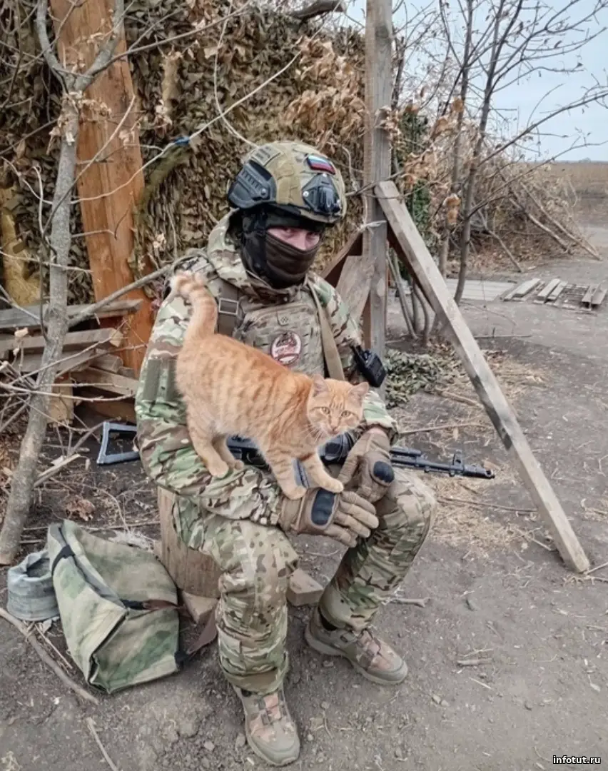 Контракт МО РФ в 2025 году: условия, выплаты, профессии