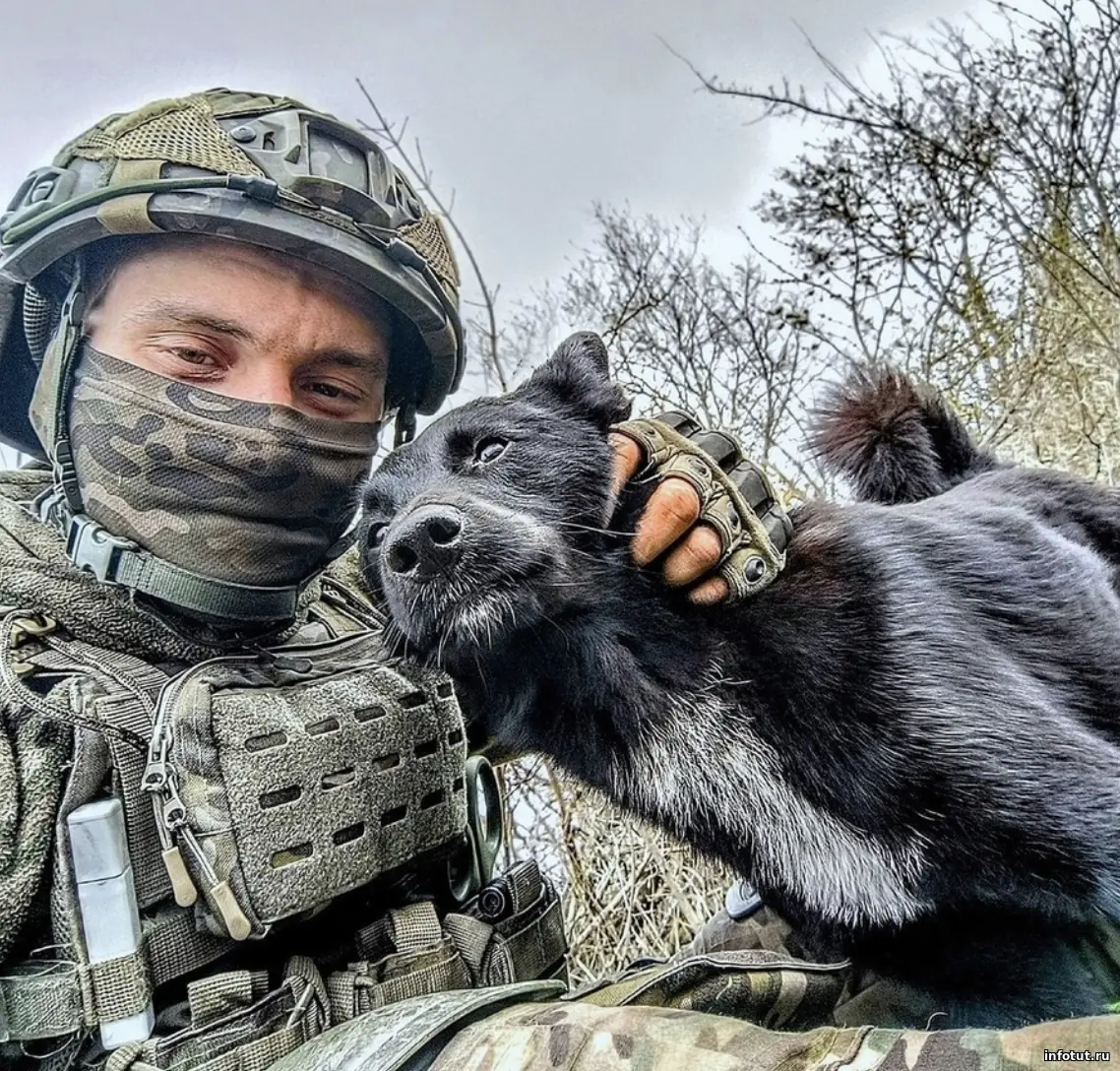 Водители и специалисты тыловых частей на СВО: как попасть в тыловые войска по отношению