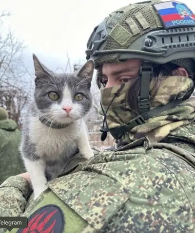 Военнослужащий подписывает контракт с ВС РФ — стабильная зарплата, социальные гарантии и возможность изменить жизнь.