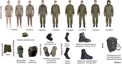 Кандидаты на контракт СВО проходят медкомиссию и собеседование; таблица зарплат, документы и порядок оформления службы через кураторов.