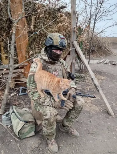 Василий — контрактник МО РФ, водитель на службе в зоне СВО, рассказывает, как контракт в армии изменил его жизнь, обеспечил стабильность и достойный доход.