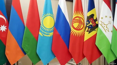 Иностранец заключает контракт на СВО — помощь кураторов, оформление документов, медкомиссия, выплаты и получение гражданства РФ