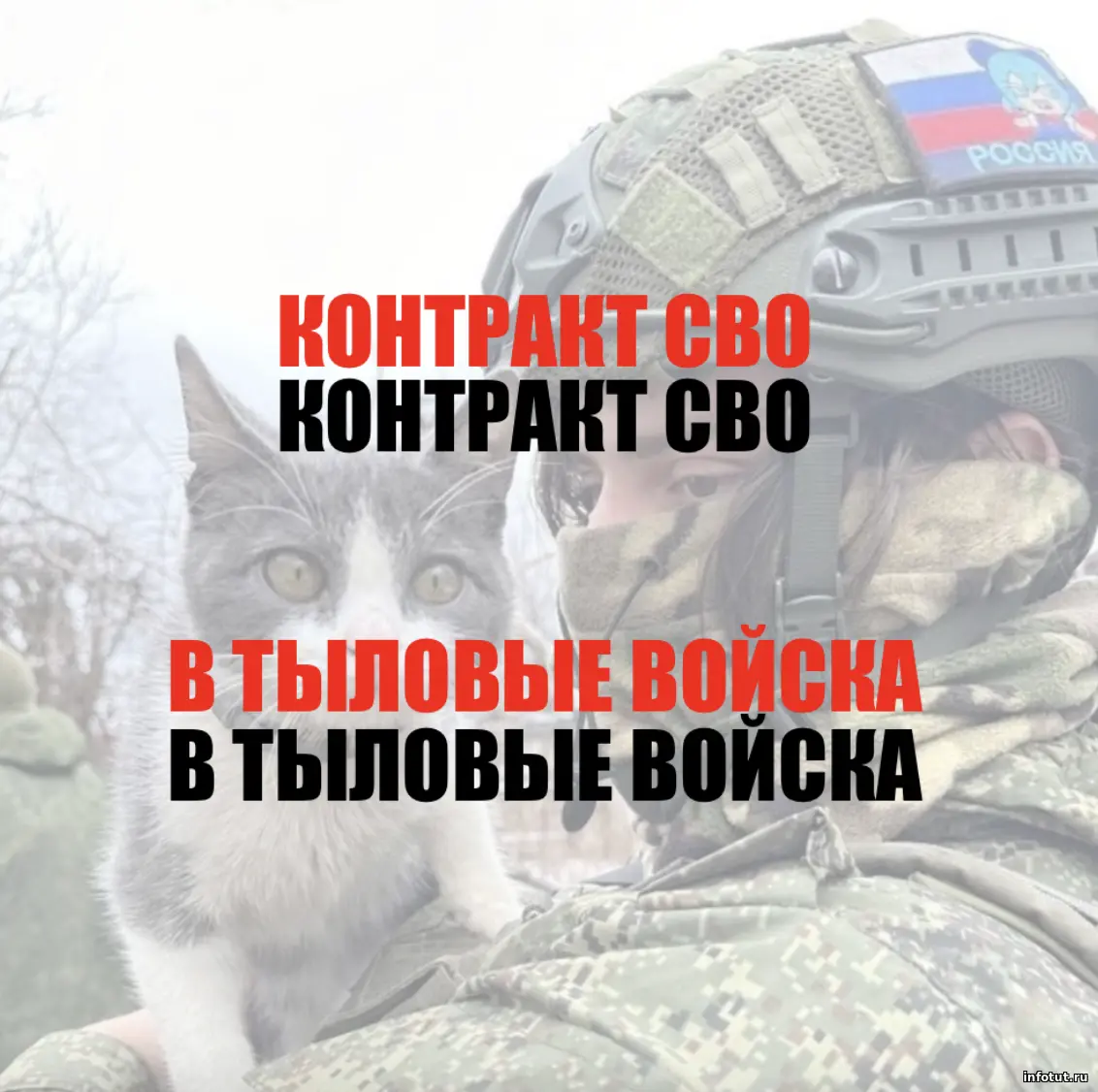 Как попасть в тыловые войска по отношению — официальная инструкция