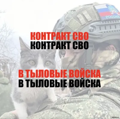 Контракт по отношению в тыловые войска СВО 2025. Работа водителей, рембата, медиков и поваров с выплатами до 3 млн рублей и льготами контрактников.