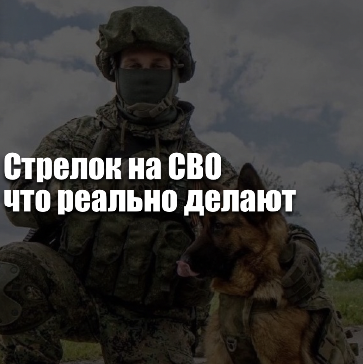 Стрелок на СВО — что реально делают
