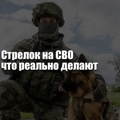 Стрелок на СВО: какая реальная работа за этой должностью, разные уровни риска и заработок в 2026 году.