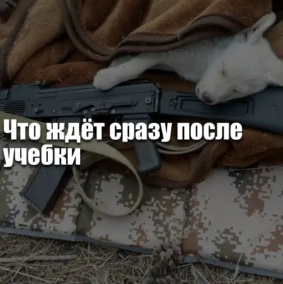 После учебки на СВО: распределение контрактника, переход в подразделение БПЛА и начало службы в части.