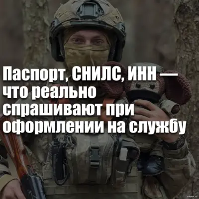 Документы для контракта на СВО: паспорт, СНИЛС и военный билет перед оформлением службы.